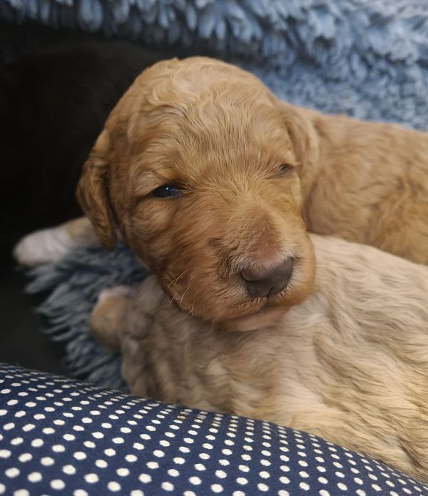 Langsam öffnen sich die Augen