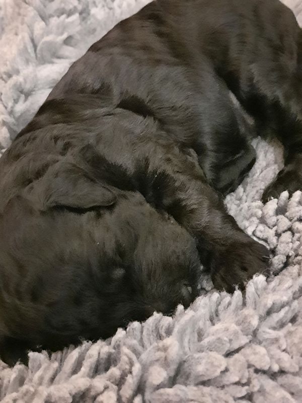 Tag 14 Ally Gewicht 1370g