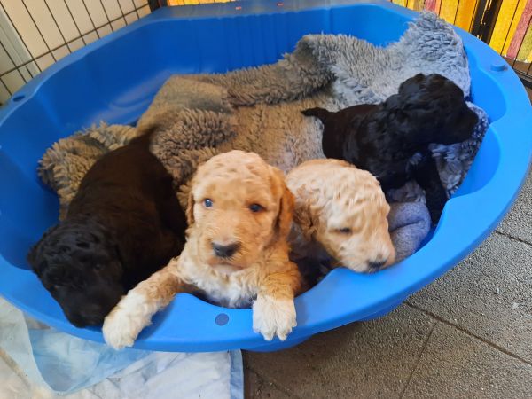 zum ersten mal draussen