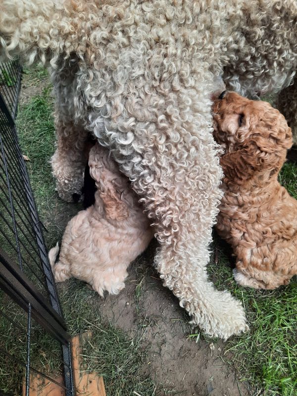 Woche 5 - Die Herren