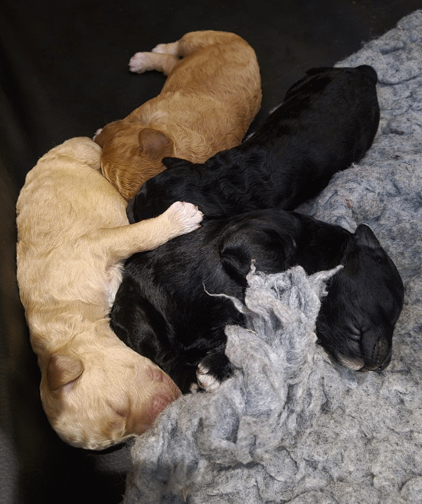 Alle zusammen - Tag 4