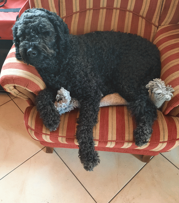 Oma Masha muss sich ausruhen