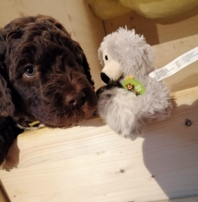 Vance Alfred Tag37 1