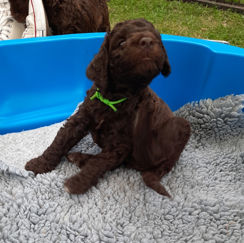 Vance Alfred Tag37 2