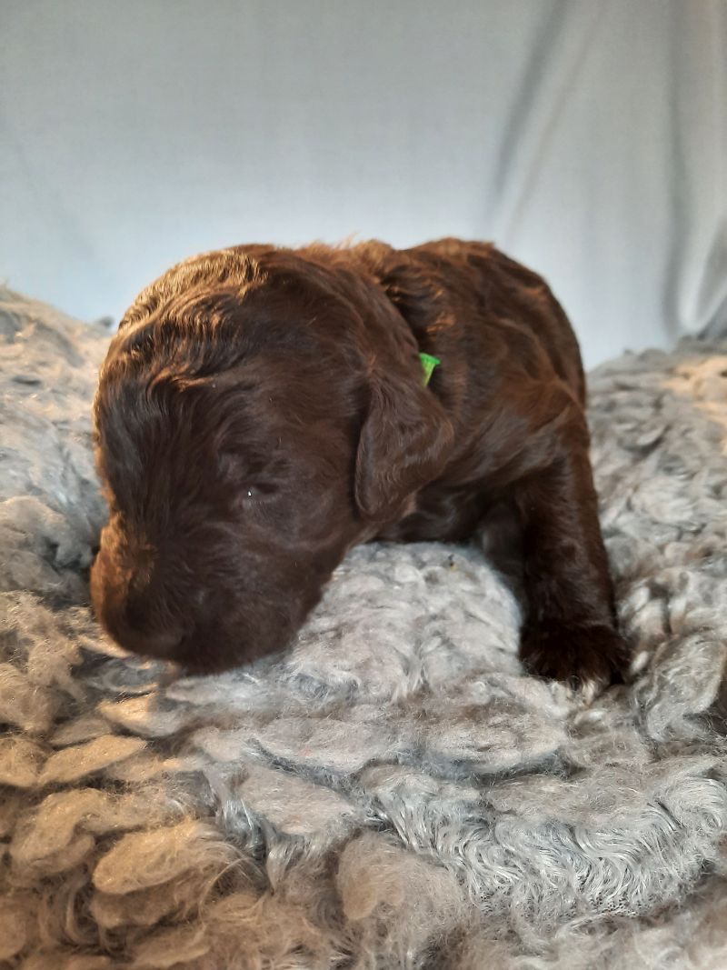 Vance Alfred Tag 15 2