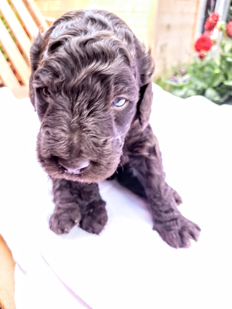 Vance Alfred Tag 23 1