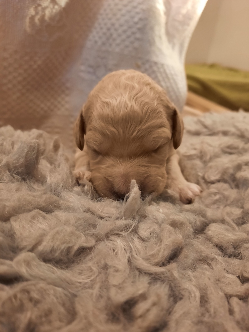 Vanyar-Agatha, Tag 7 - Gewicht: 680g