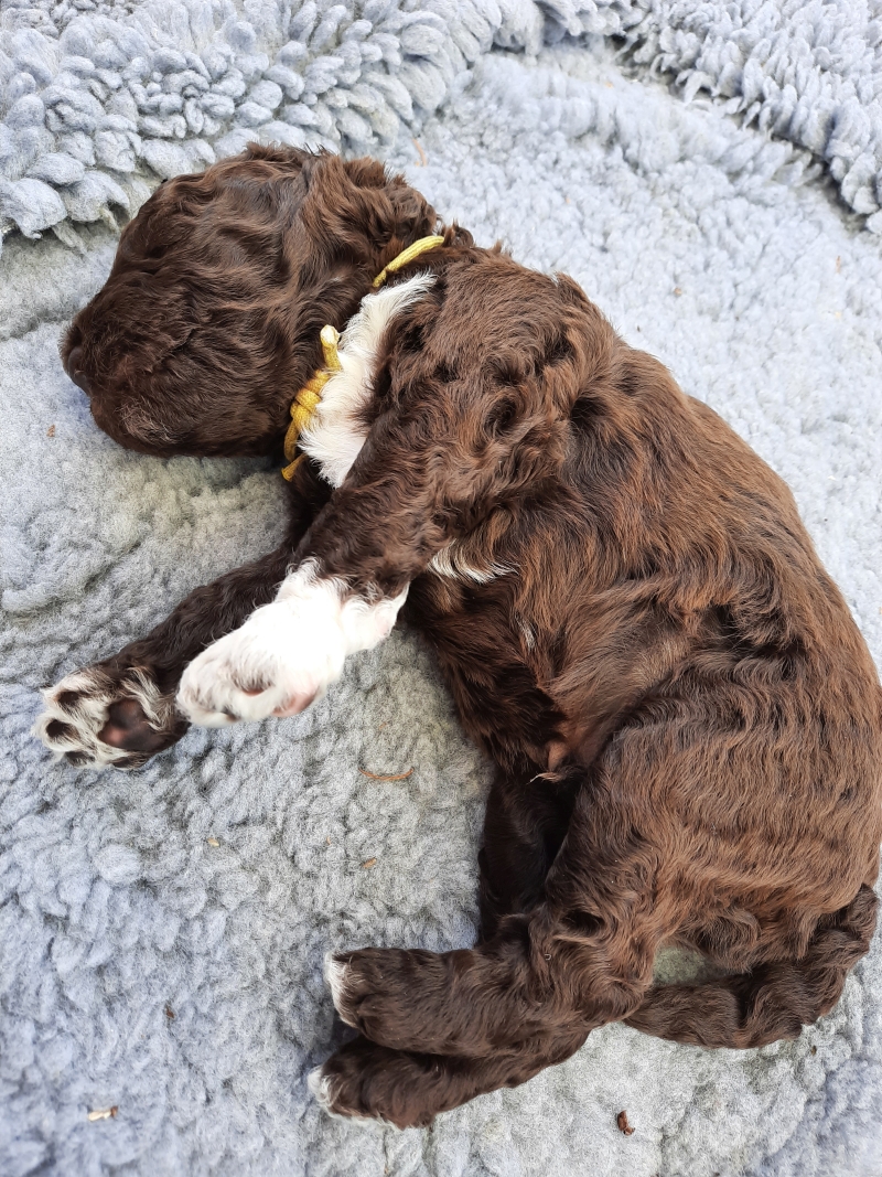 Vernon AlbertTag 23 2