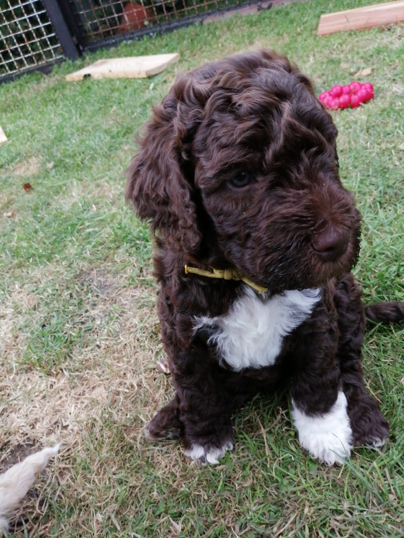 Vernon Albert Tag 37 1