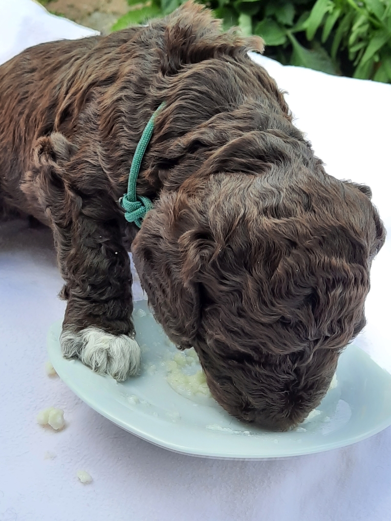 Tag 23 1 Victor Arnold Tag 23 1