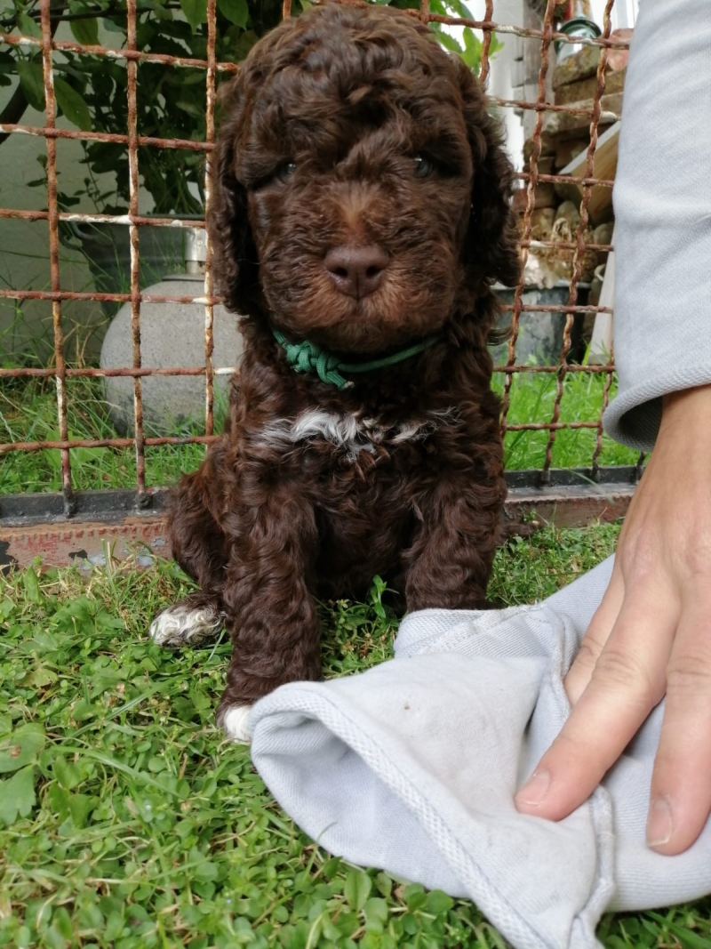 Tag 37, Gewicht 2850g Victor Arnold Tag 37 2