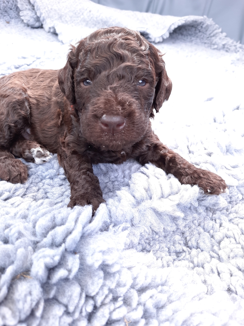 Vince August Tag 23 1