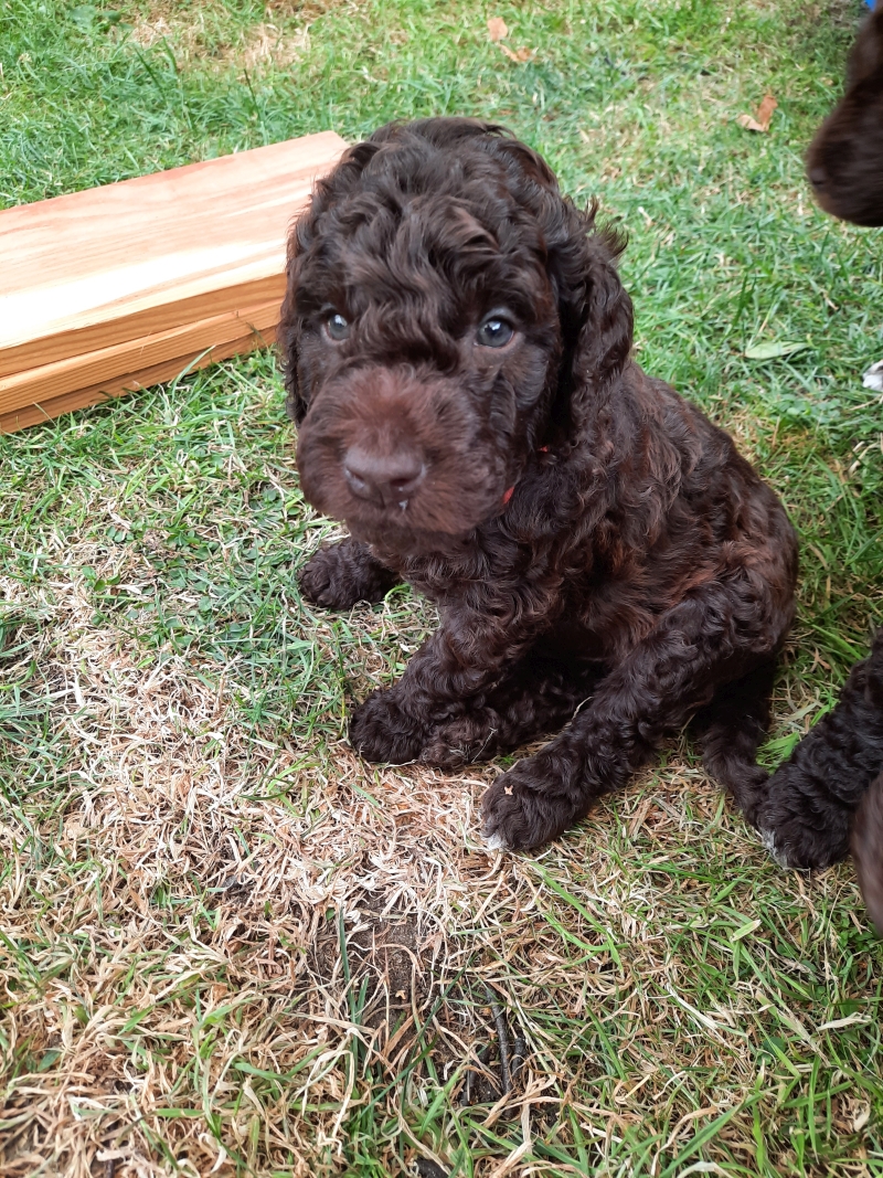 Vince August Tag 37 1