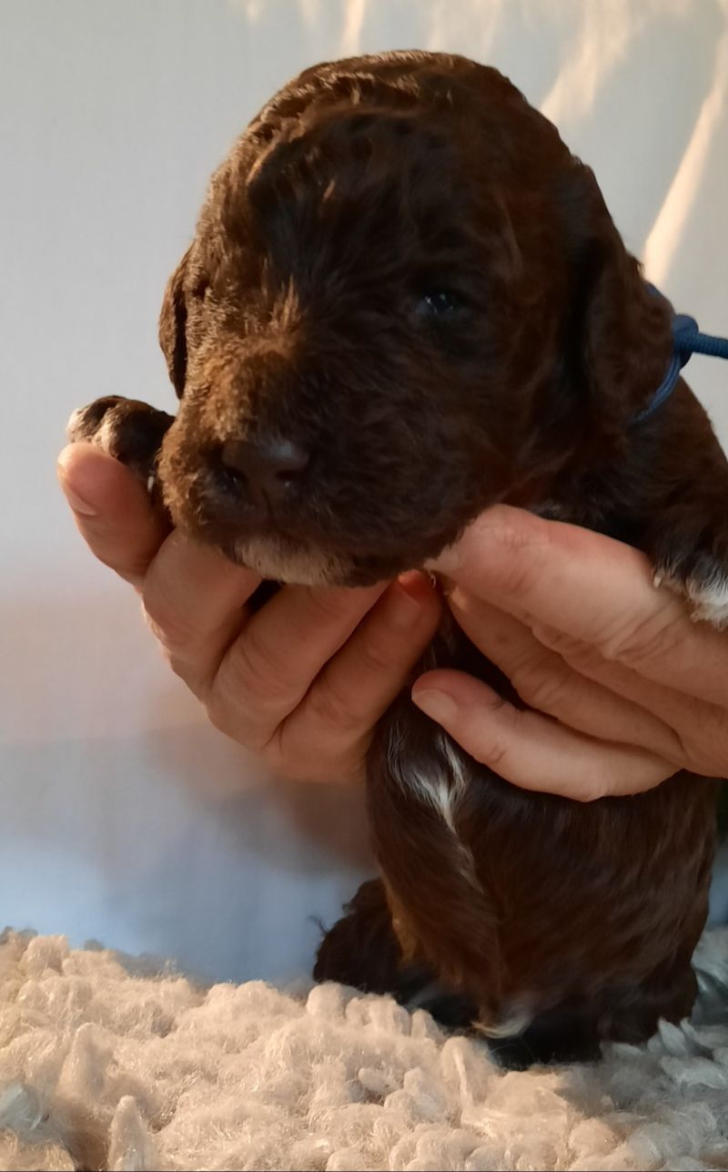 Vitalij Anton Tag 15 1