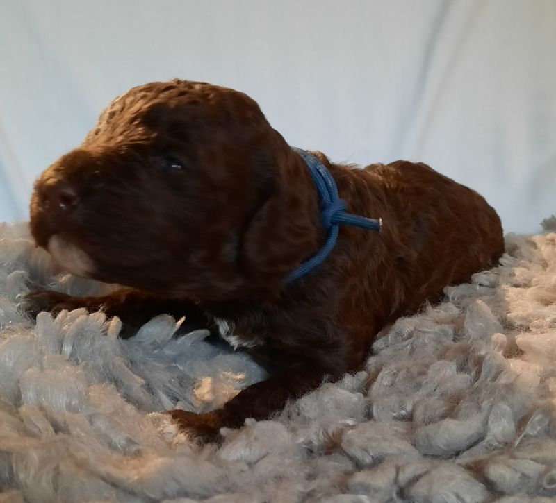 Vitalij Anton Tag 15 2