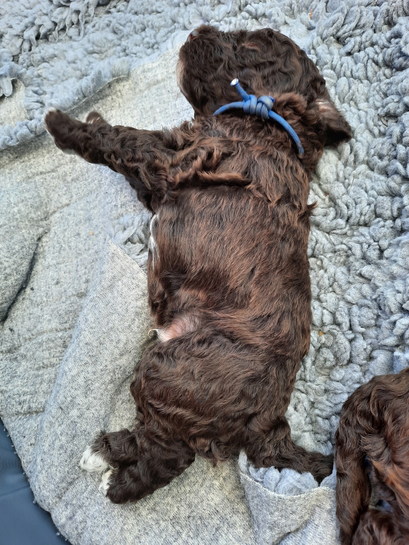 Vitalij Anton Tag 23 1