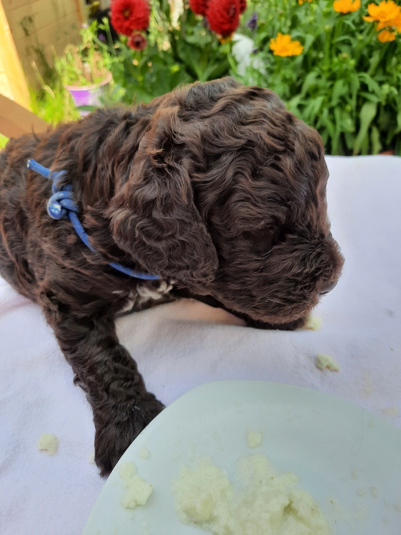 Vitalij Anton Tag 23 2