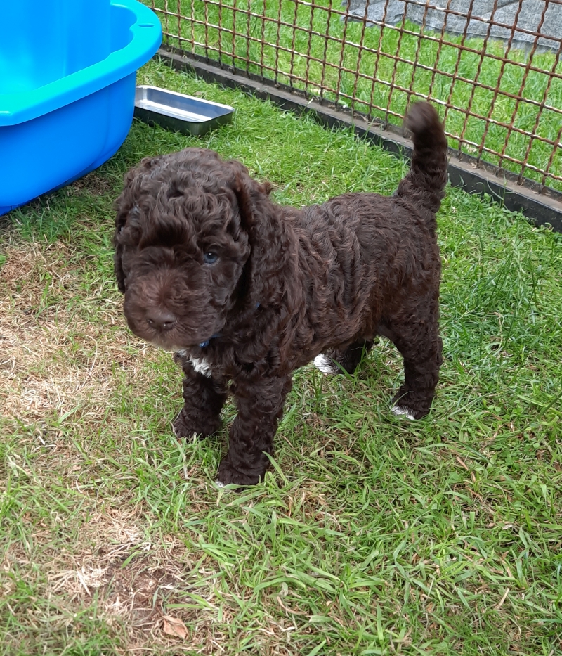 Vitalij Anton Tag 37 1