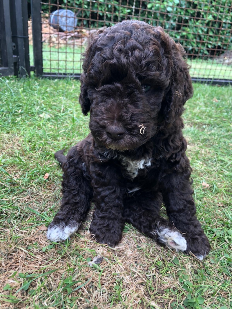 Vitalij Anton Tag 37 2