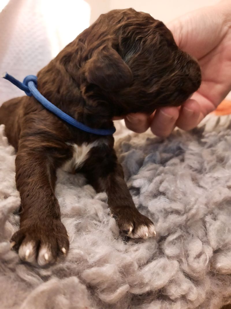 Vitalij Anton Tag 7 1