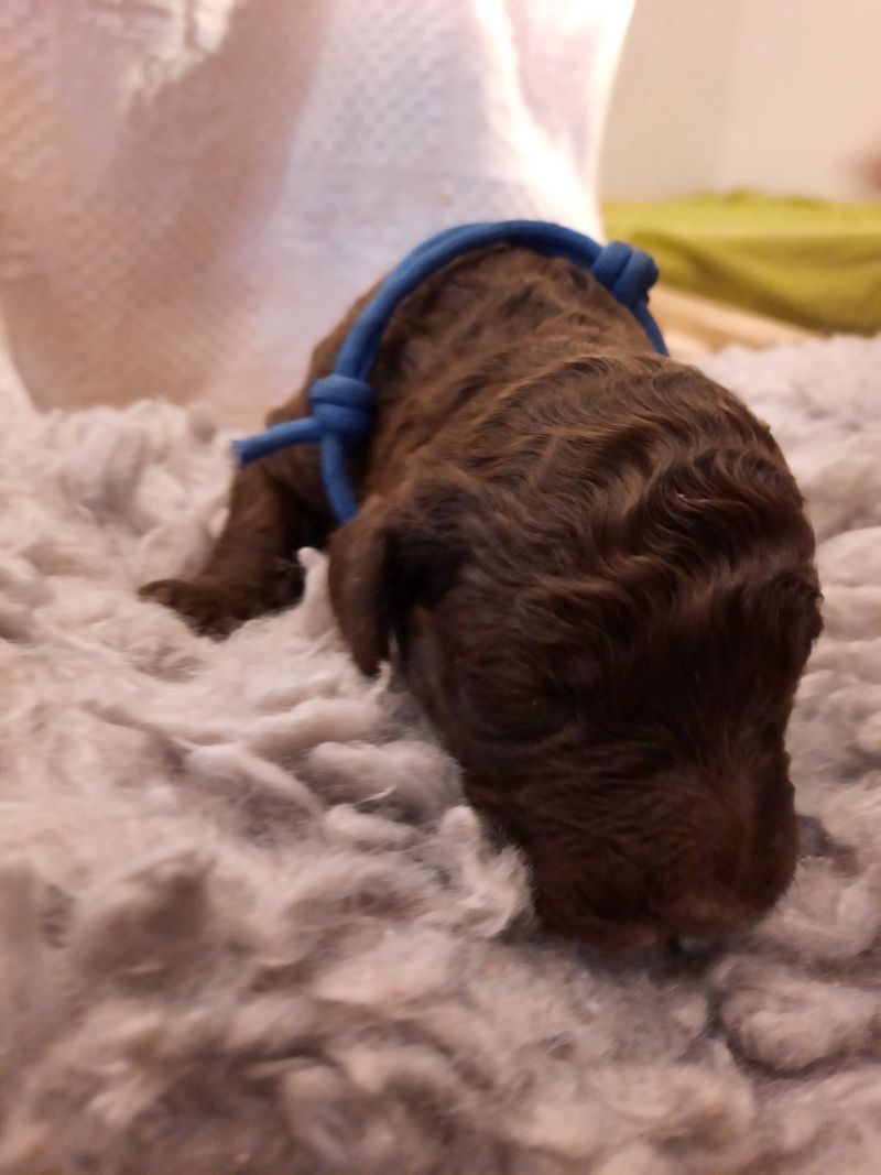 Vitalij Anton Tag 7 2